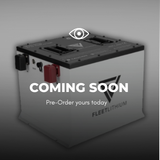 Bintelli Beyond (All Years (48V) Fleet Lithium Conversion Kit)